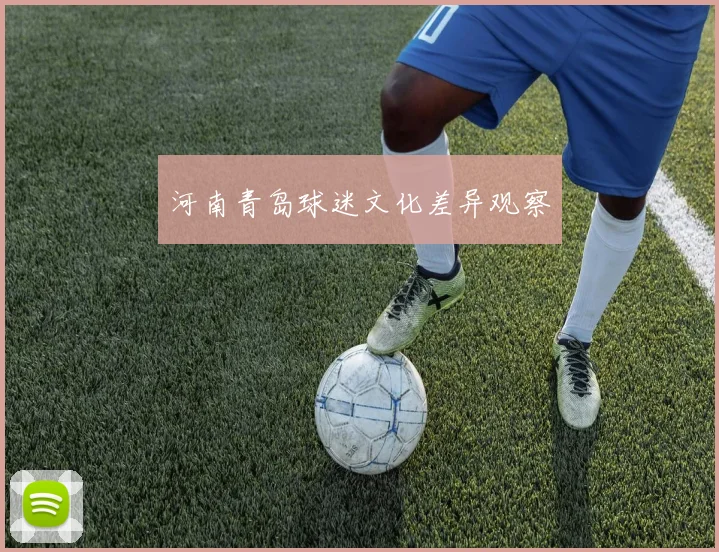 河南青岛球迷文化差异观察